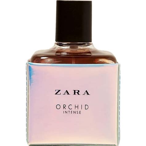 zara orchid reviews.